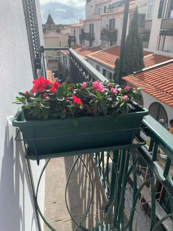 The balcony.