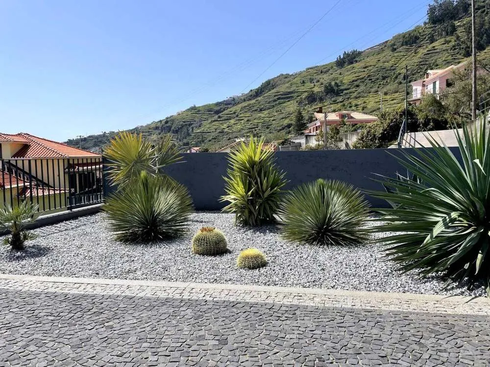 A Mexican themed agave & cactus garden welcomes you to the home.